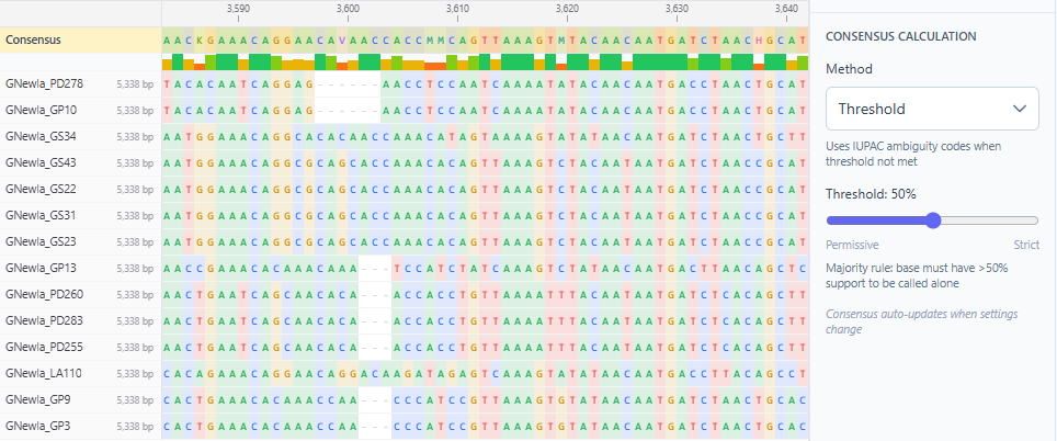 Multiple sequence alignment