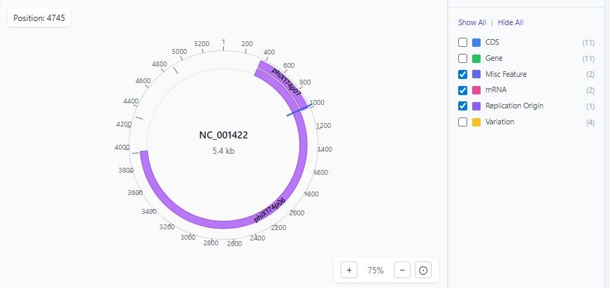 Circular sequence view