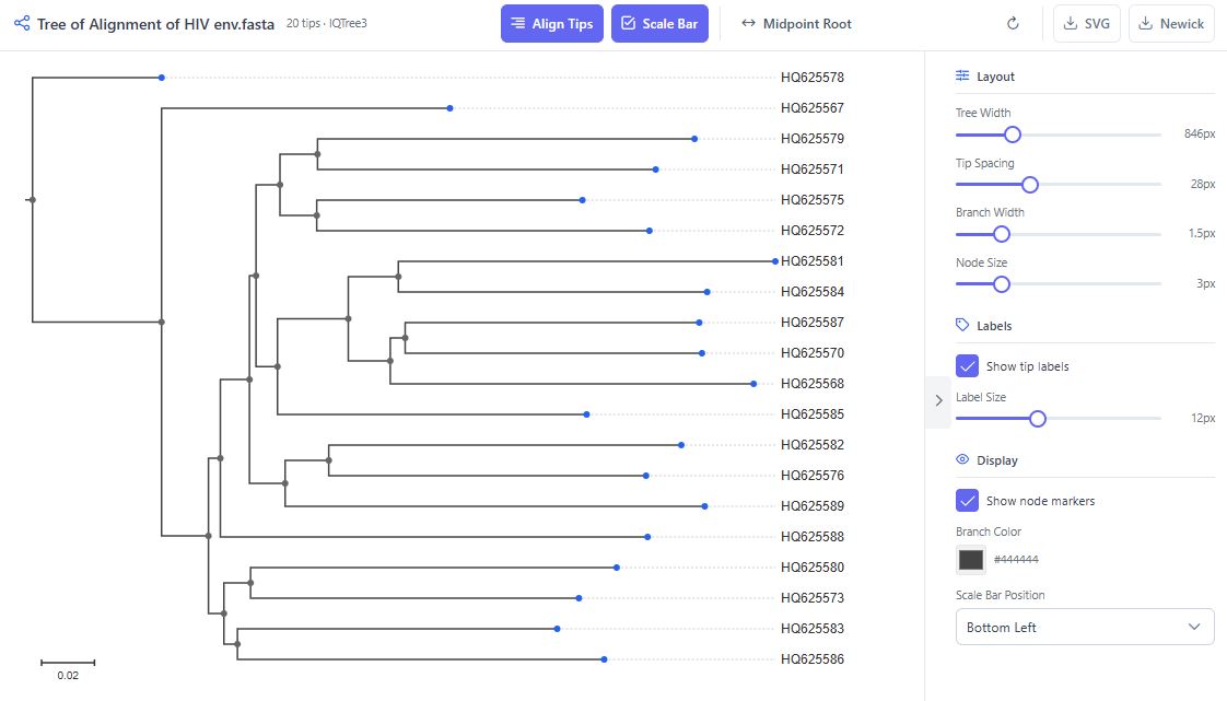 Phylogenetic tree